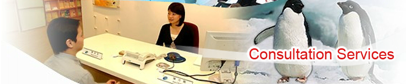 Consultation Services